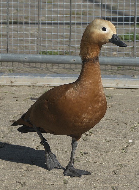 场比赛