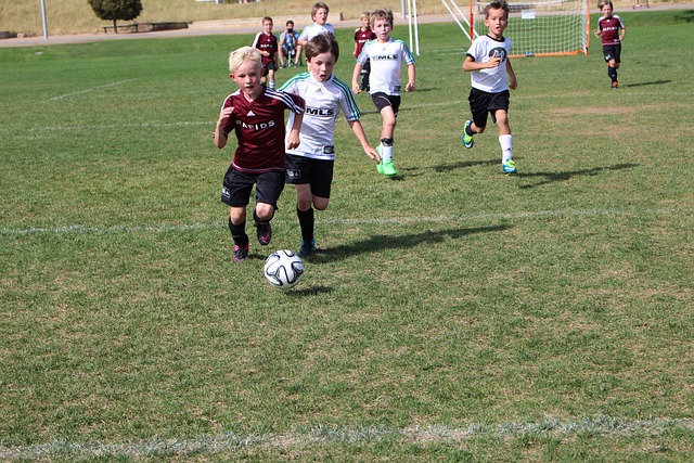 湖人一路跌 湖人一路跌