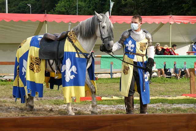 刺队的新秀 刺队的新秀