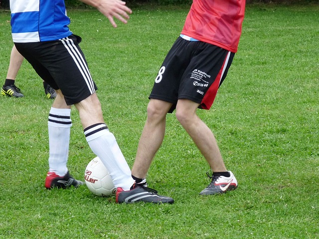 优势领域 优势领域